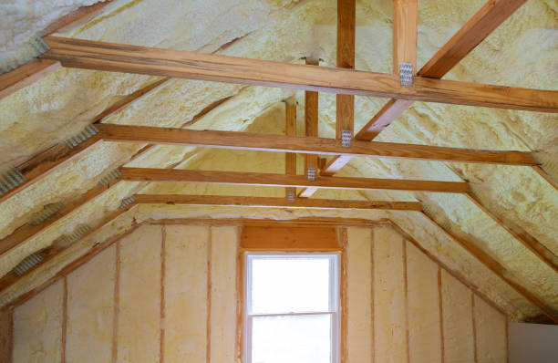 Best DIY Insulation Kits and Guidance in Aliso Viejo, CA