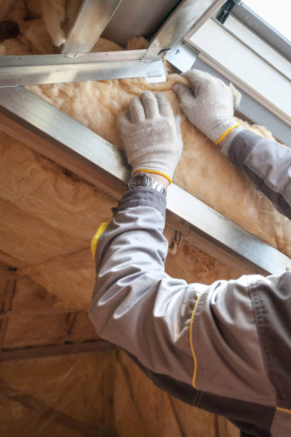 Types of Insulation We Offer in Aliso Viejo, CA
