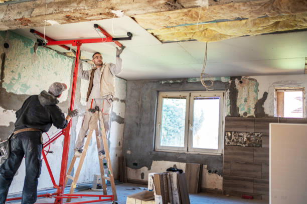 Best Residential Insulation in Aliso Viejo, CA