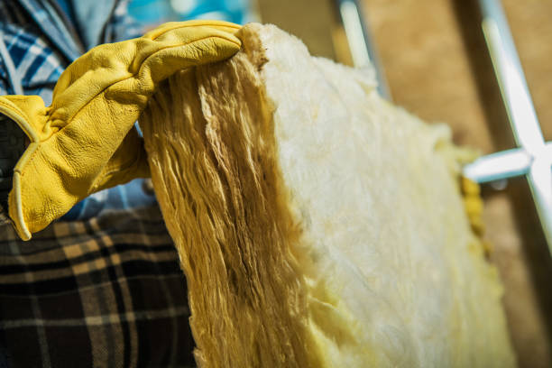 Best Insulation Maintenance and Repair in Aliso Viejo, CA