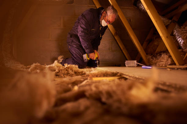 Best Energy Efficiency Insulation in Aliso Viejo, CA